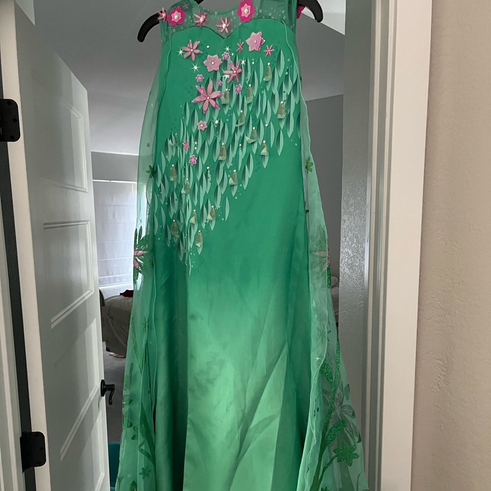 Chasing Fireflies Elsa Costume